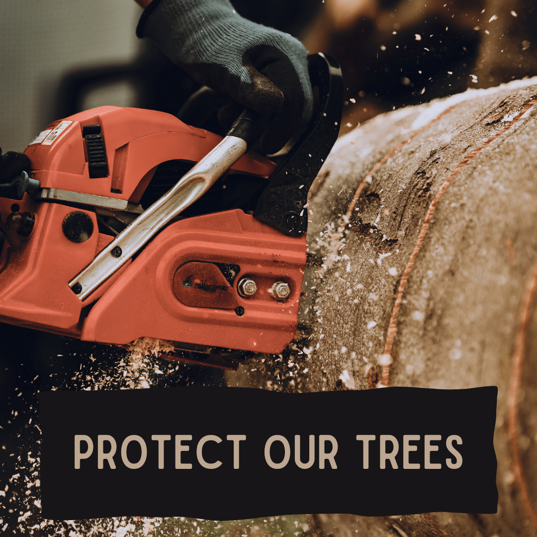A chainsaw is cutting into a tree with a banner that reads, "protect our trees."